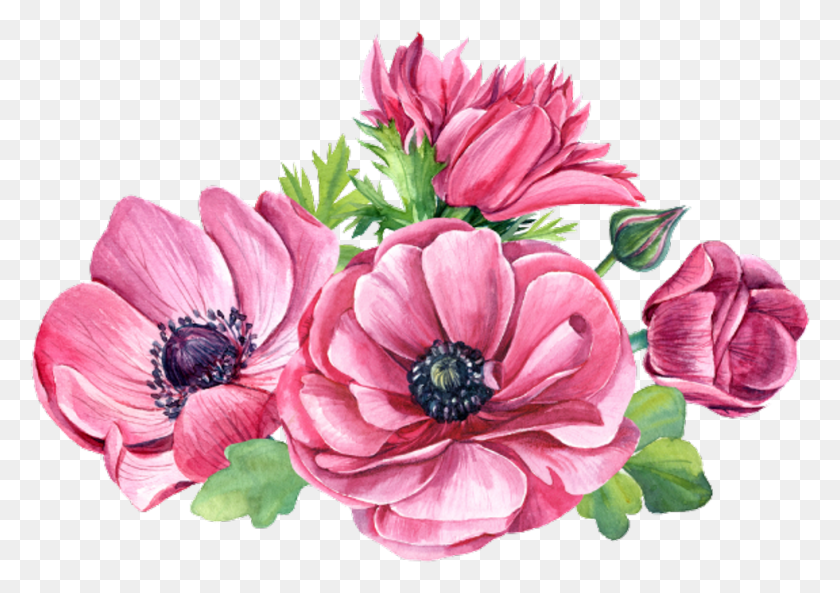 981x671 Descargar Png Primavera Rosa Superposiciones De Flores Transparente Flor Rosa, Planta, Miel De Abeja, Abeja Hd Png