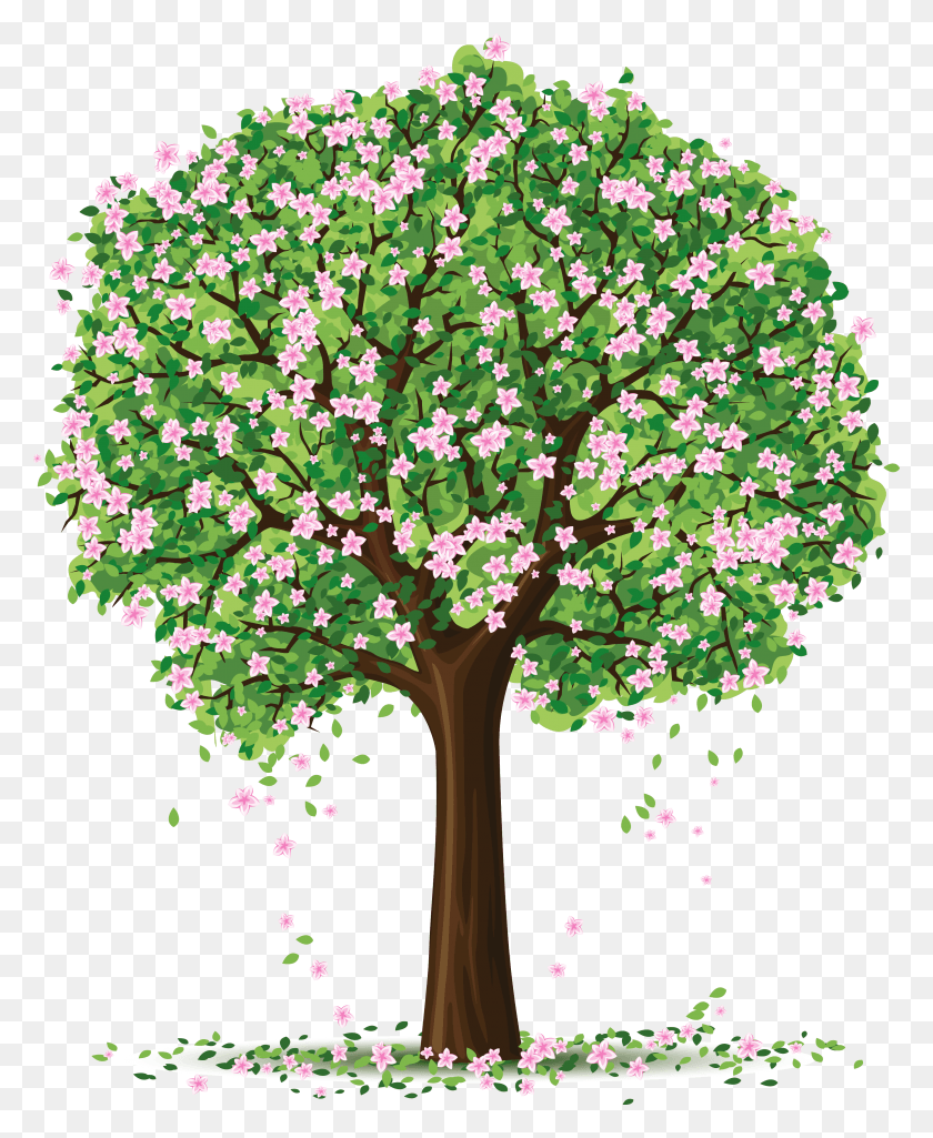 3472x4299 Spring Tree Art Picture Spring Tree, Plant, Flower, Blossom HD PNG Download