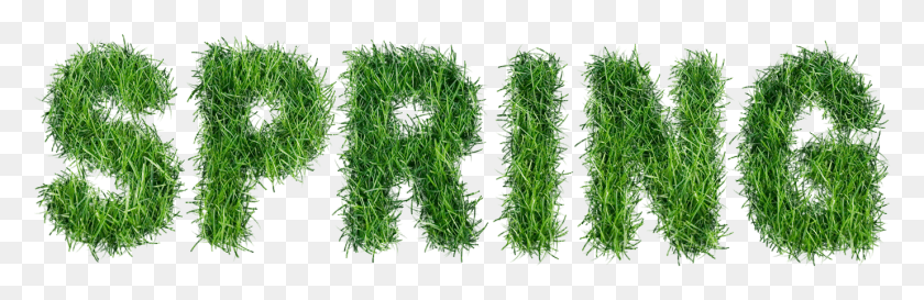 1379x377 Spring With Grass Text Clipart Spring Text, Plant, Seasoning, Food HD PNG Download