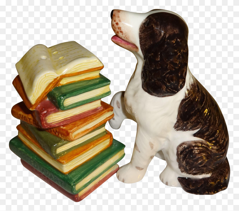 1983x1732 Springer Spaniel With Stacked Books Salt And Pepper HD PNG Download