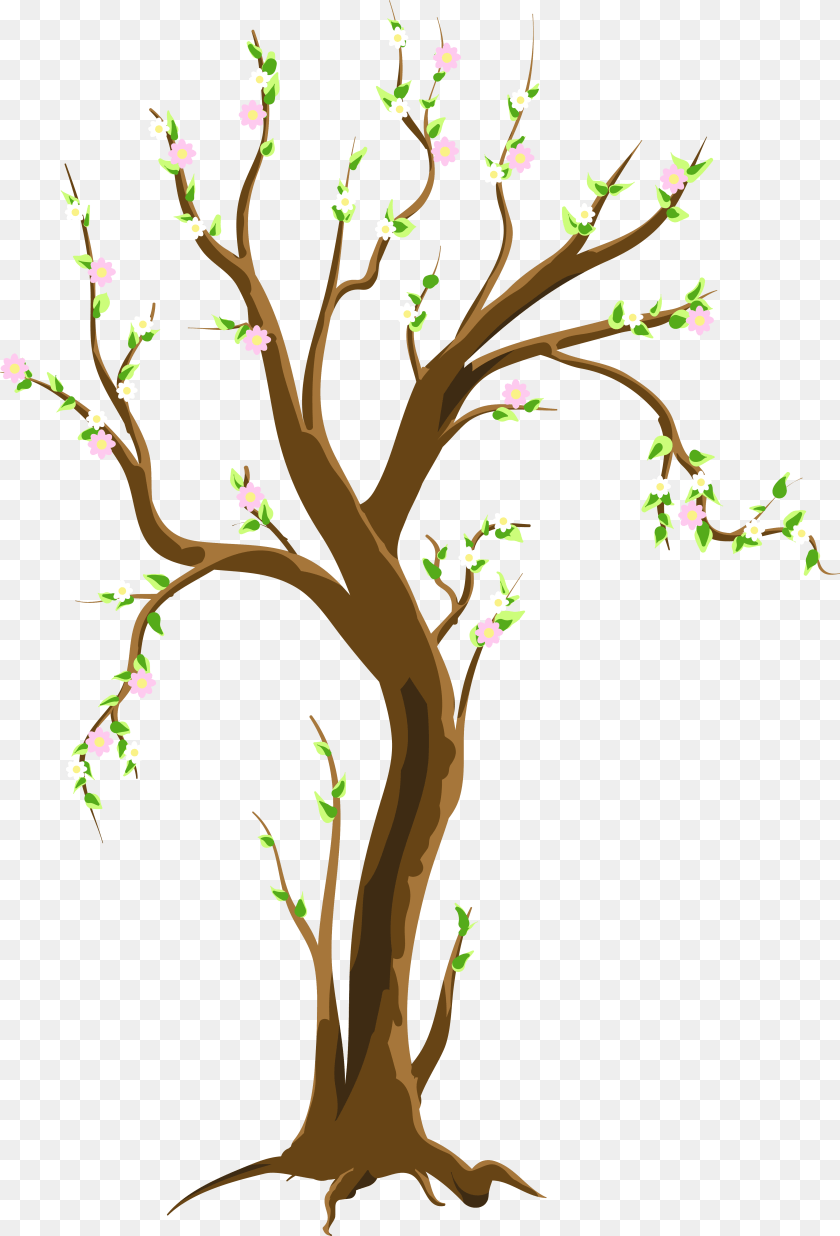 Springtime Tree Black And White Tree In Spring Flower, Flower Arrangement, Plant, Art Clipart PNG