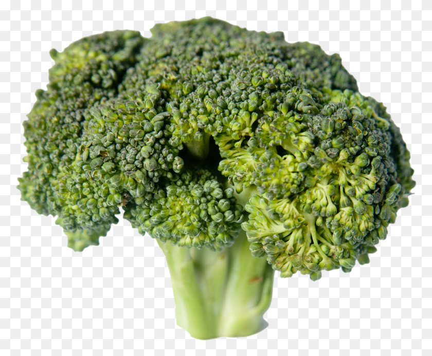 2097x1702 Sprouting Broccoli HD PNG Download
