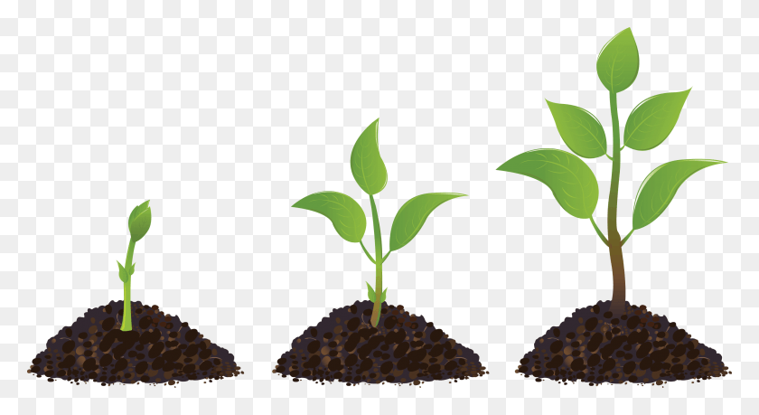 2850x1460 Sprouting Drawing Plant Transprent Humanity And Hope, Sprout, Leaf, Soil HD PNG Download