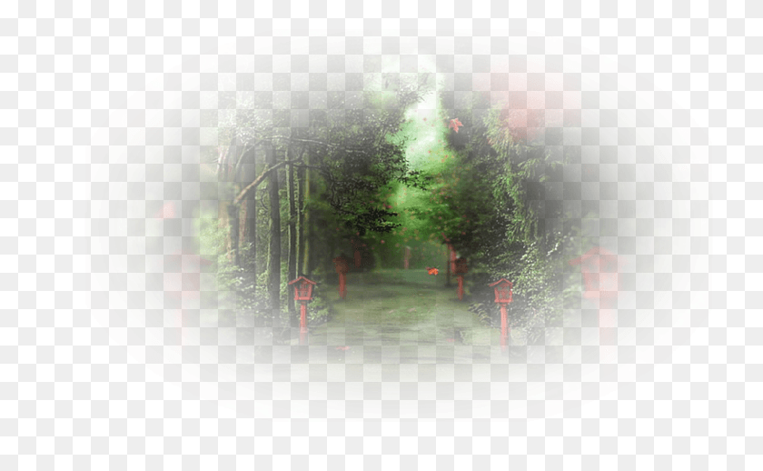 731x458 Spruce, Outdoors, Fire Hydrant, Plant HD PNG Download