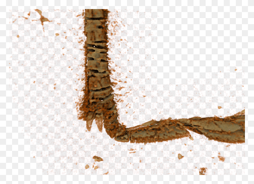 1422x1003 Spurs 03 Malacosoma Disstria, Rust, Mountain, Outdoors HD PNG Download
