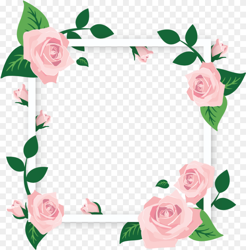 Square Flower Frames Transparent Background Flower Frame, Plant, Rose, Art PNG