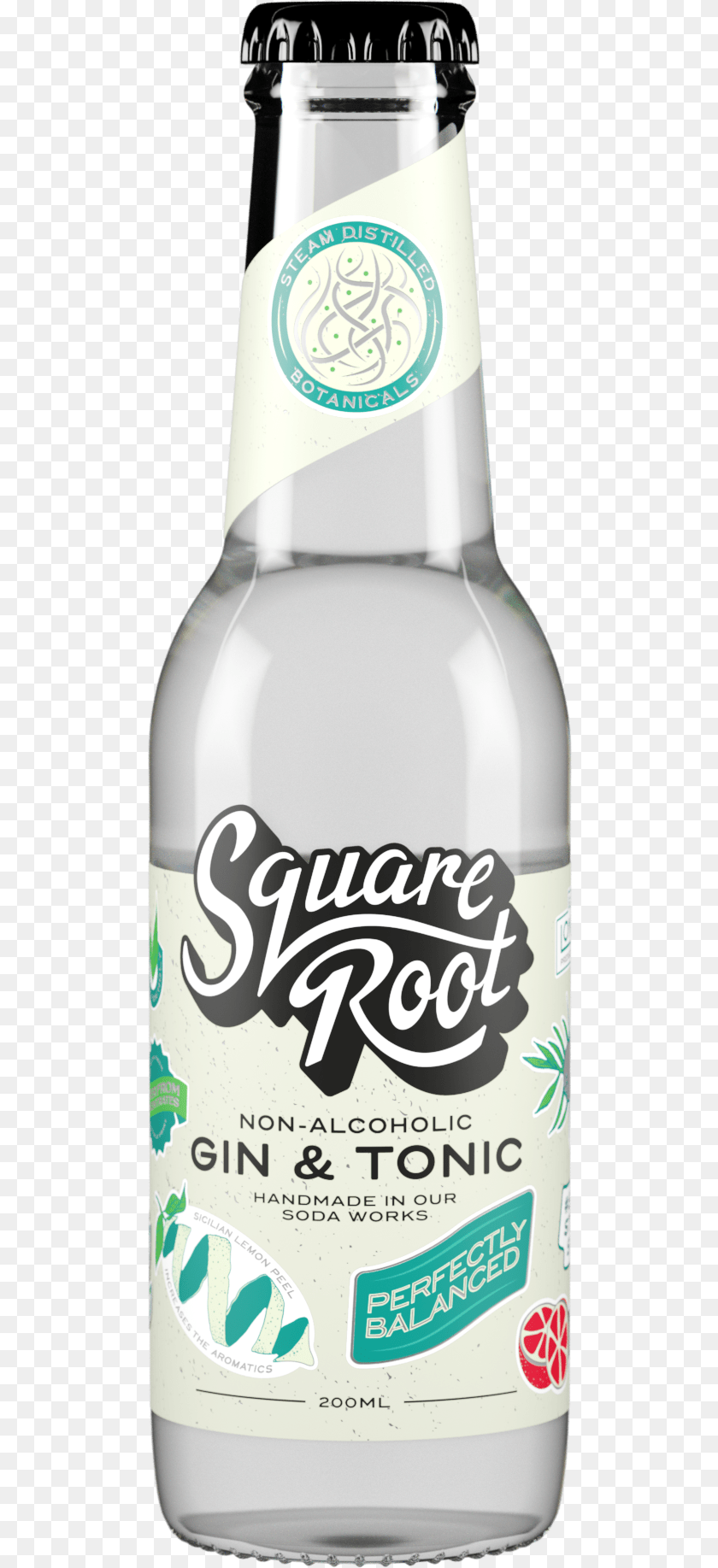 497x1835 Square Root Negroni, Beverage, Alcohol, Beer, Liquor PNG