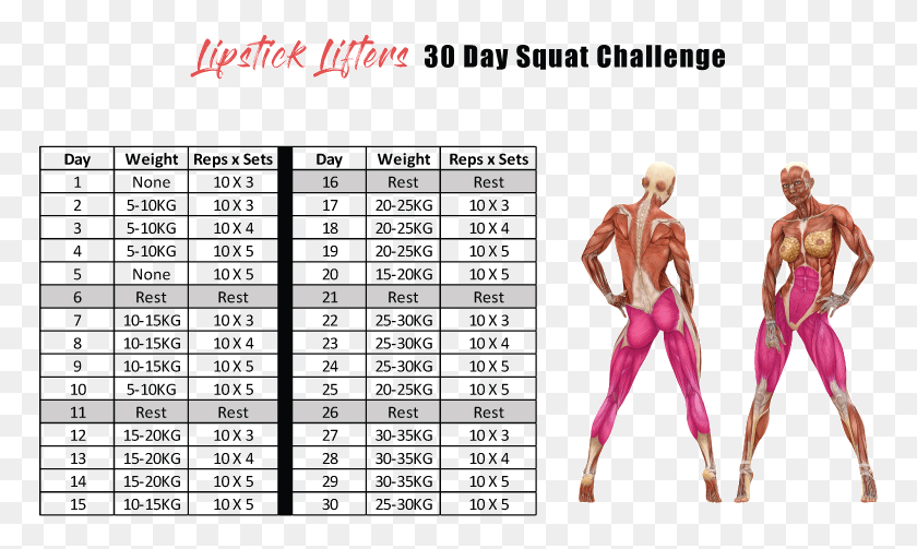 769x443 Squat 30 Day Squat Challenge Printable Pdf, Person, Human, Menu HD PNG Download