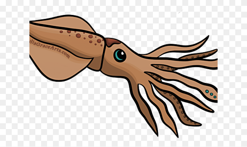 641x441 Squid Cartoon, Animal, Sea Life, Food HD PNG Download