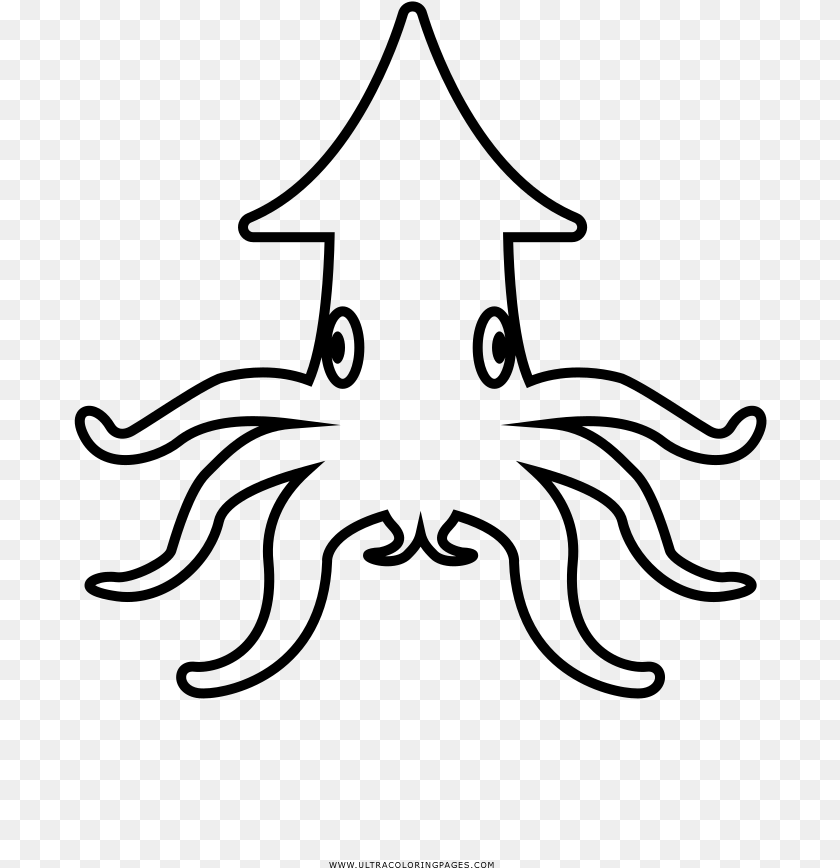 Squid Coloring Book Drawing Octopus, Gray Transparent PNG