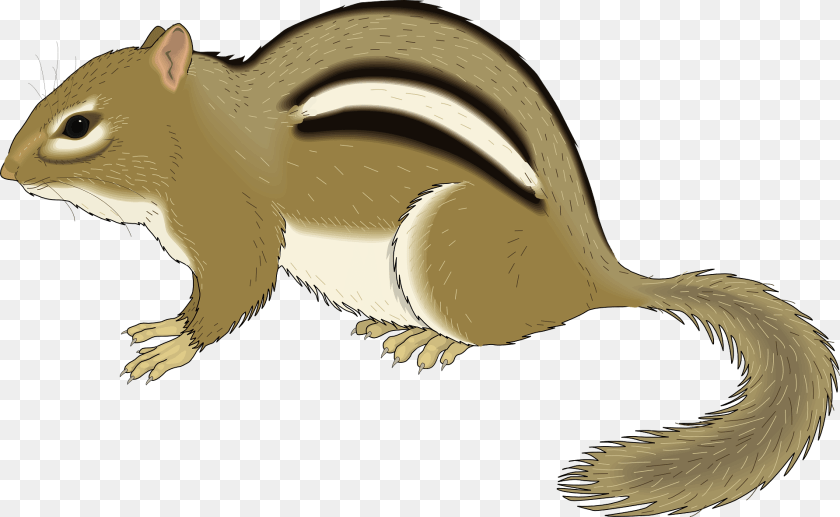 Squirrel Clipart, Animal, Mammal, Rodent, Fish Sticker PNG