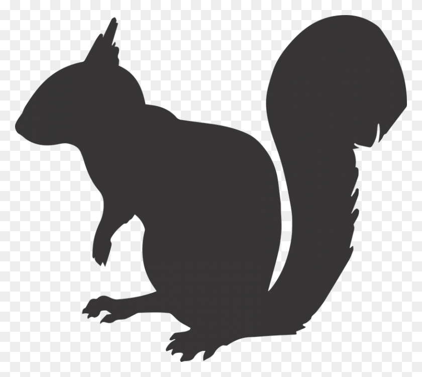 813x720 Squirrel Silhouette Clipart, Animal, Mammal, Rodent HD PNG Download