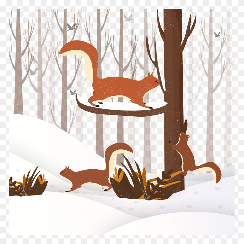 2000x2000 Squirrel Winter Snow Elements And Psd Winter, Plant, Wood, Tractor HD PNG Download