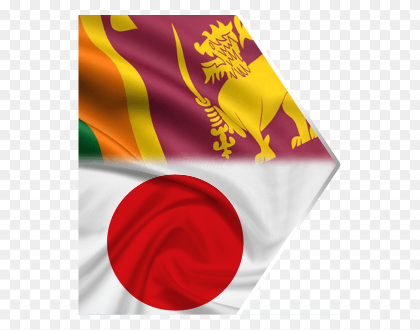 525x601 Автомобильная Ассоциация Шри-Ланки В Японии Изображение Шри-Ланка V Пакистан, Флаг, Символ, Текст Hd Png Скачать
