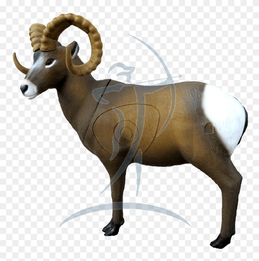 792x801 Srt Rocky Mountain Goat Goat, Mammal, Animal, Wildlife HD PNG Download