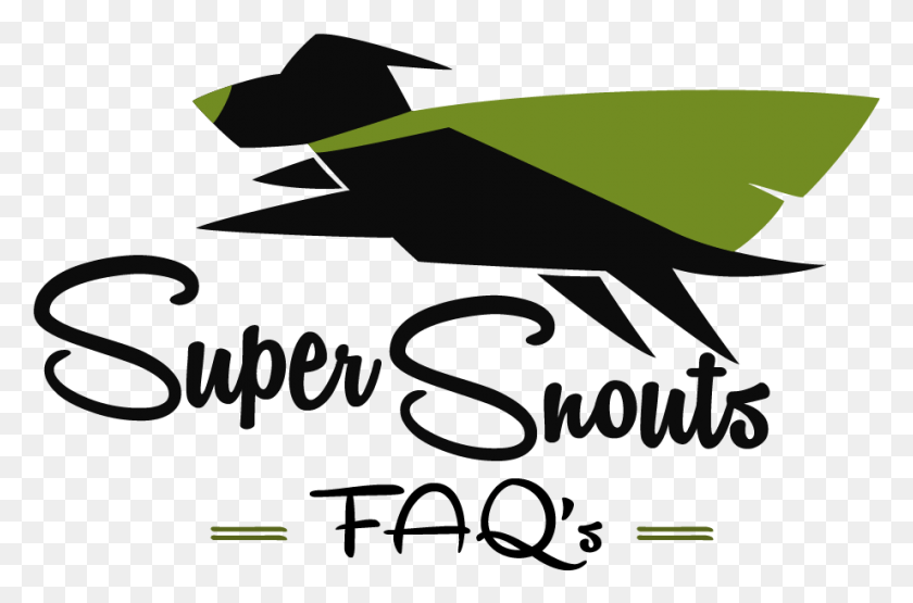 921x585 Ss Faq Icon Super Snouts, Text, Outdoors, Nature HD PNG Download