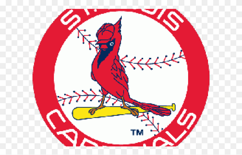 617x481 St Louis Cardinal Logos Baseball Old Cardinals Logo, Poster, Advertisement, Bird HD PNG Download