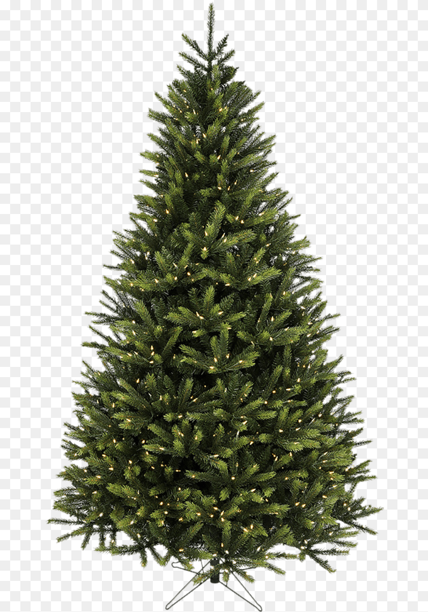 St Nicks Christmas Store Christmas Tree, Pine, Plant, Fir, Christmas Decorations Sticker PNG