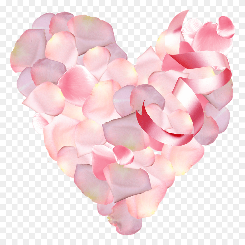 897x898 St Petalscolor Pinklovemacro Heart, Petal, Flower, Plant HD PNG Download