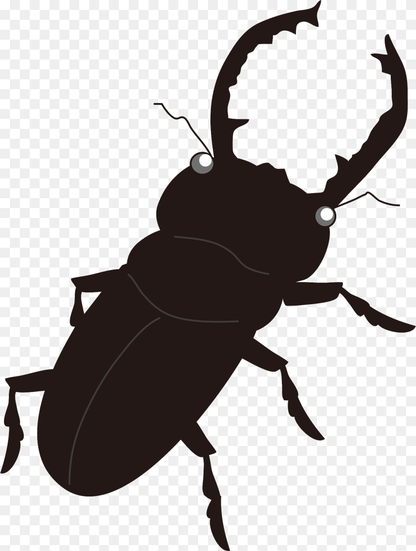 Stag Beetle Insect Clipart, Animal, Fish, Sea Life, Shark Transparent PNG