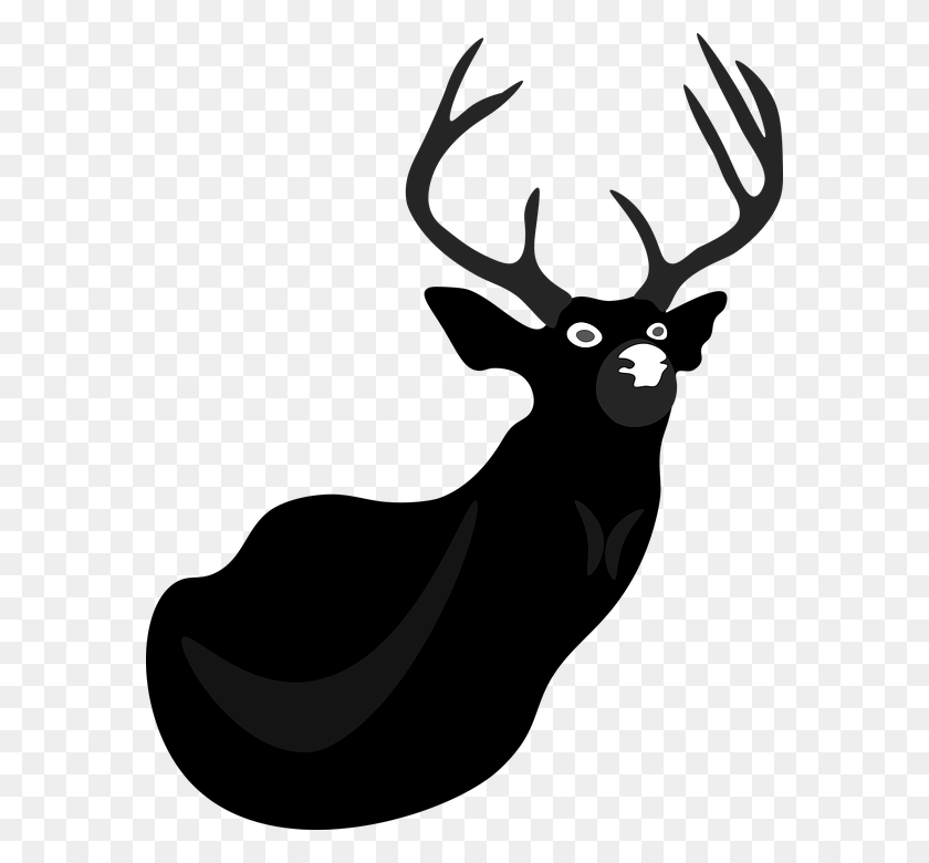 576x720 Stag Clipart Real Reindeer Elk, Deer, Wildlife, Mammal HD PNG Download