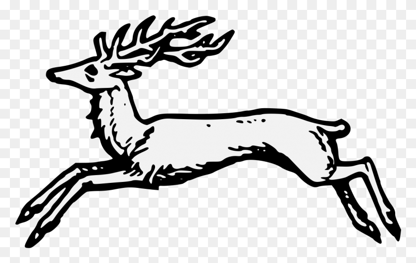 1232x747 Stag Courant, Deer, Wildlife, Mammal HD PNG Download
