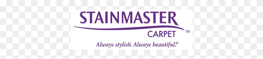 390x131 Stainmaster Carpet, Label, Text, Logo HD PNG Download