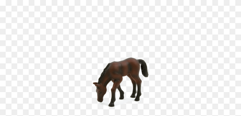 5162x2273 Жеребец, Жеребец Лошадь, Лошадь, Млекопитающее Hd Png Скачать