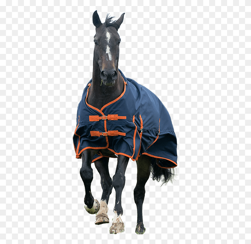 362x755 Stallion, Clothing, Apparel, Horse HD PNG Download
