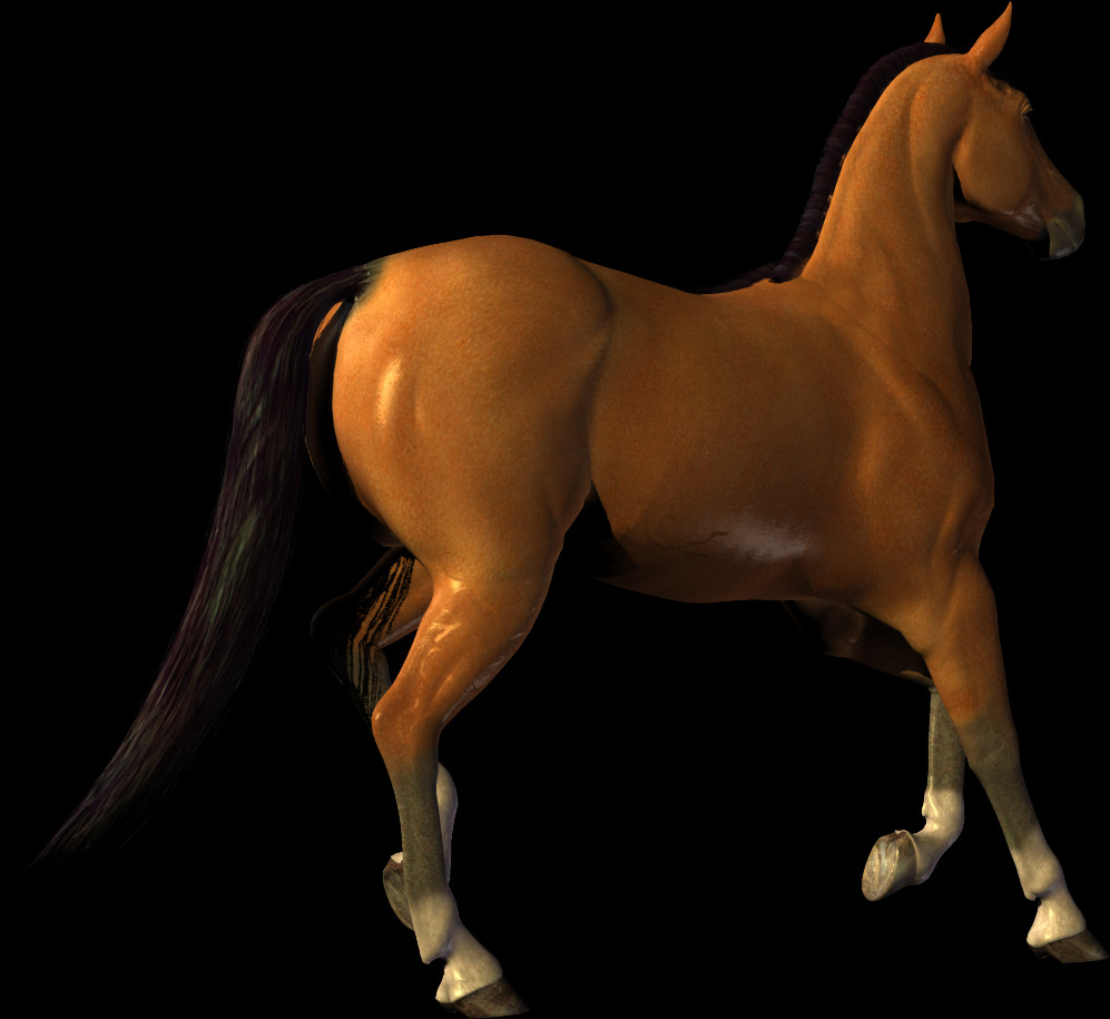 997x915 Stallion, Horse, Mammal, Animal HD PNG Download