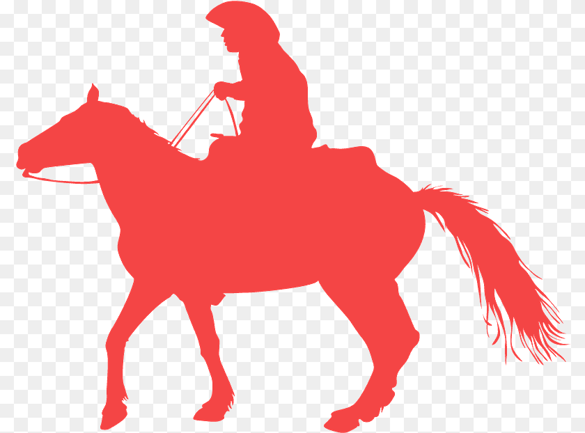 797x622 Stallion, Person, People, Adult, Man Clipart PNG