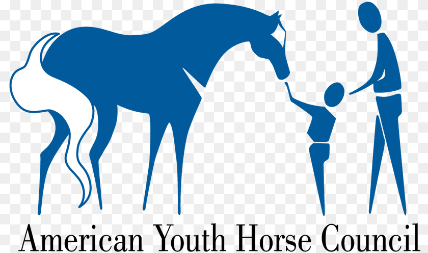 811x496 Stallion 2015, Animal, Colt Horse, Horse, Mammal PNG
