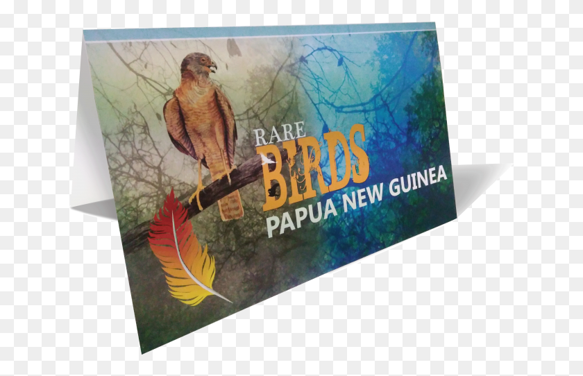 644x482 Stamp Pack Graphic Design, Accipiter, Bird, Animal HD PNG Download