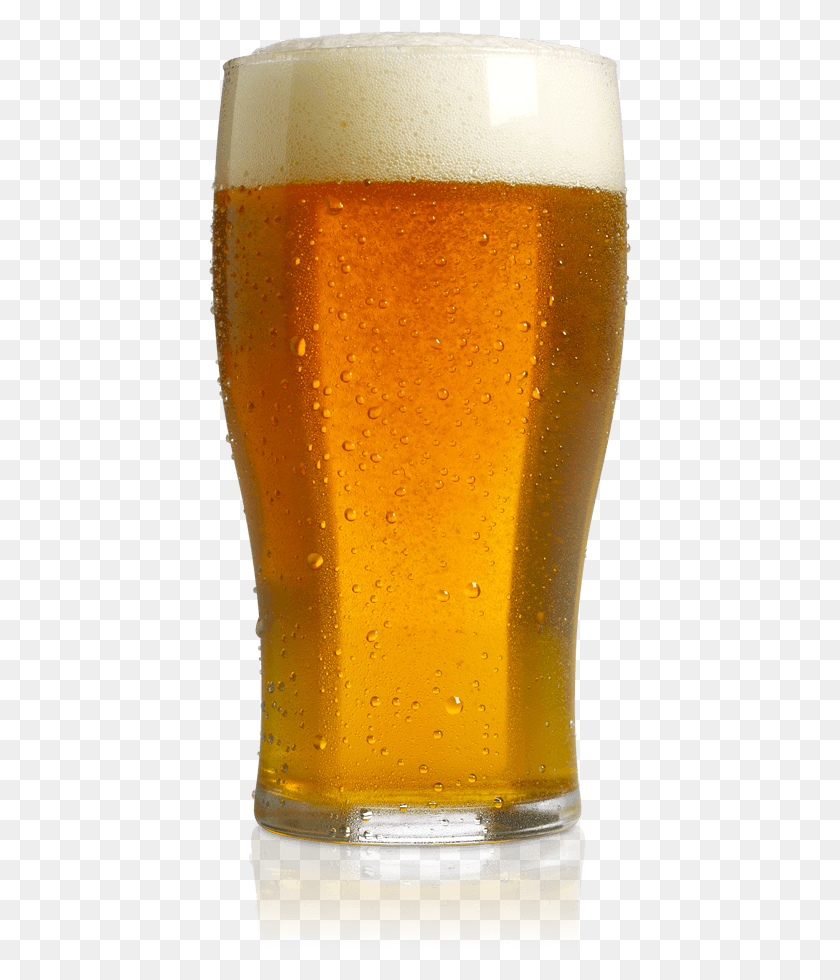 423x920 Standard Drinks Lager, Beer, Alcohol, Beverage HD PNG Download