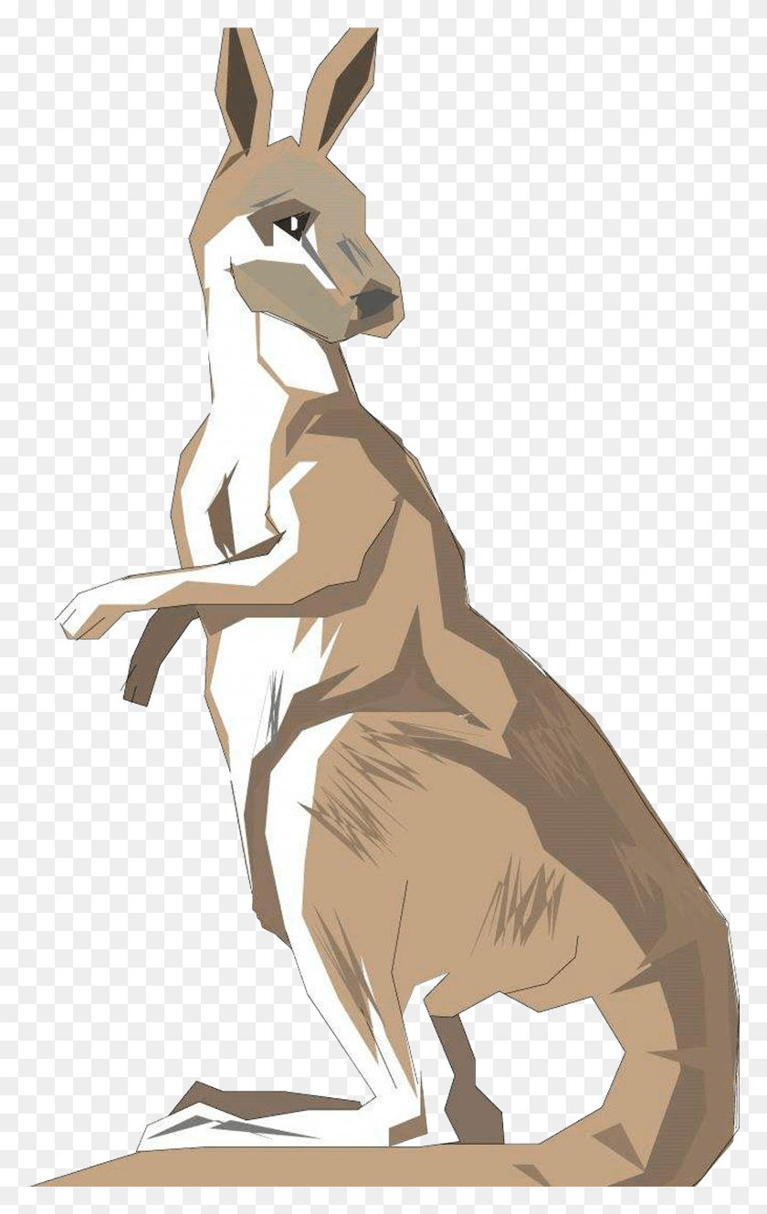 2364x3850 Standing Australia Kangaroo Back To See Drawing Clipart, Mammal, Animal, Wallaby HD PNG Download
