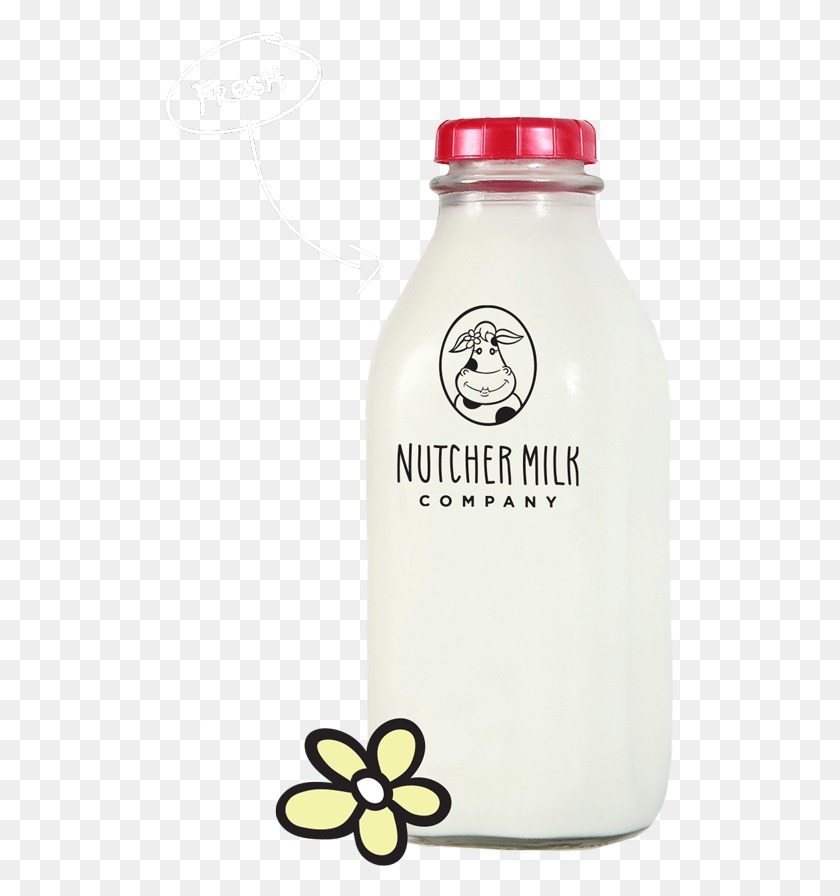 509x836 Станислав County39S Самая Свежая Бутылка Молока Nutcher Milk, Напиток, Напиток, Шейкер Hd Png Скачать