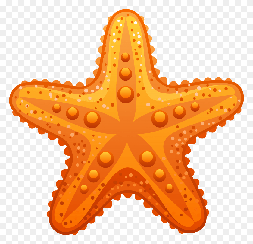 5005x4810 Star Fish Transparent Transparent Background Starfish Clipart, Sea Life, Animal, Invertebrate HD PNG Download