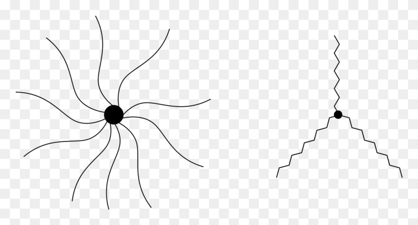 1192x602 Star Like Polymers, Spider, Invertebrate, Animal HD PNG Download