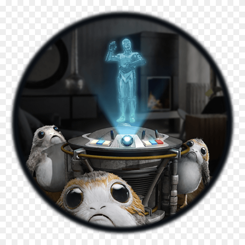 1524x1524 Star Wars Project Porg, Pájaro, Animal, Gato Hd Png