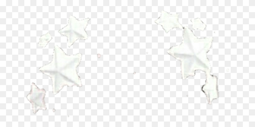 673x358 Starcrown Filter White Stars Crown Snapchat Star Filter, Plant, Leaf, Flower HD PNG Download