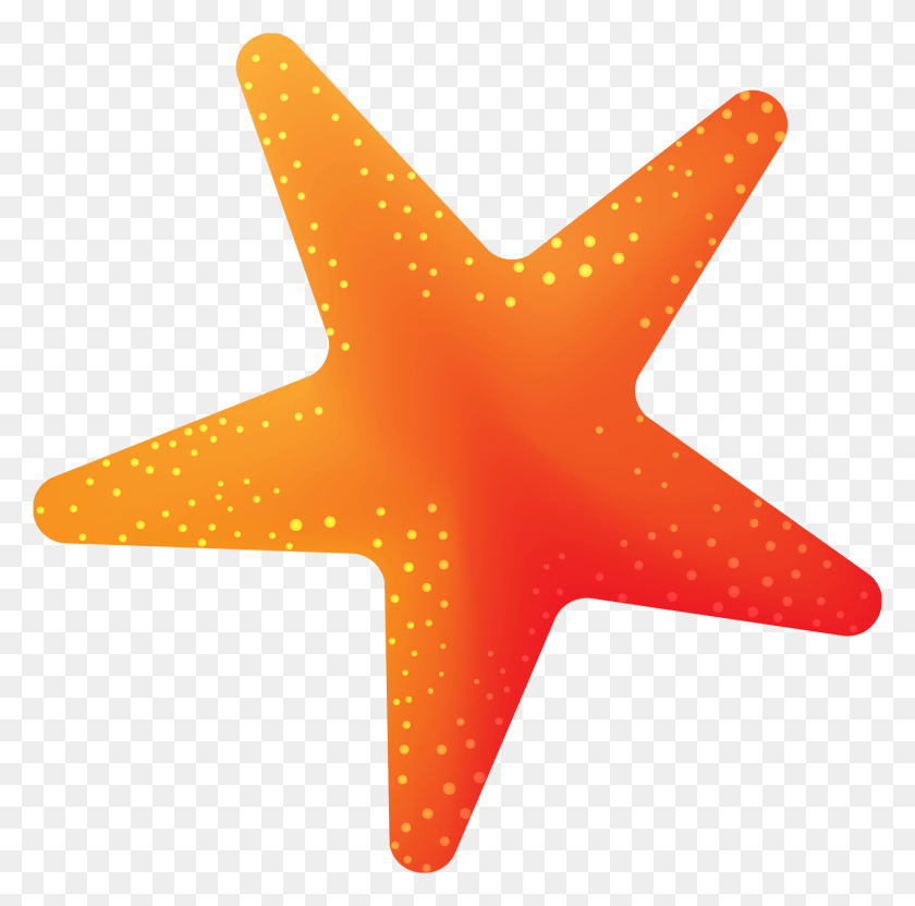 1450x1434 Starfish, Sea Life, Animal, Symbol HD PNG Download