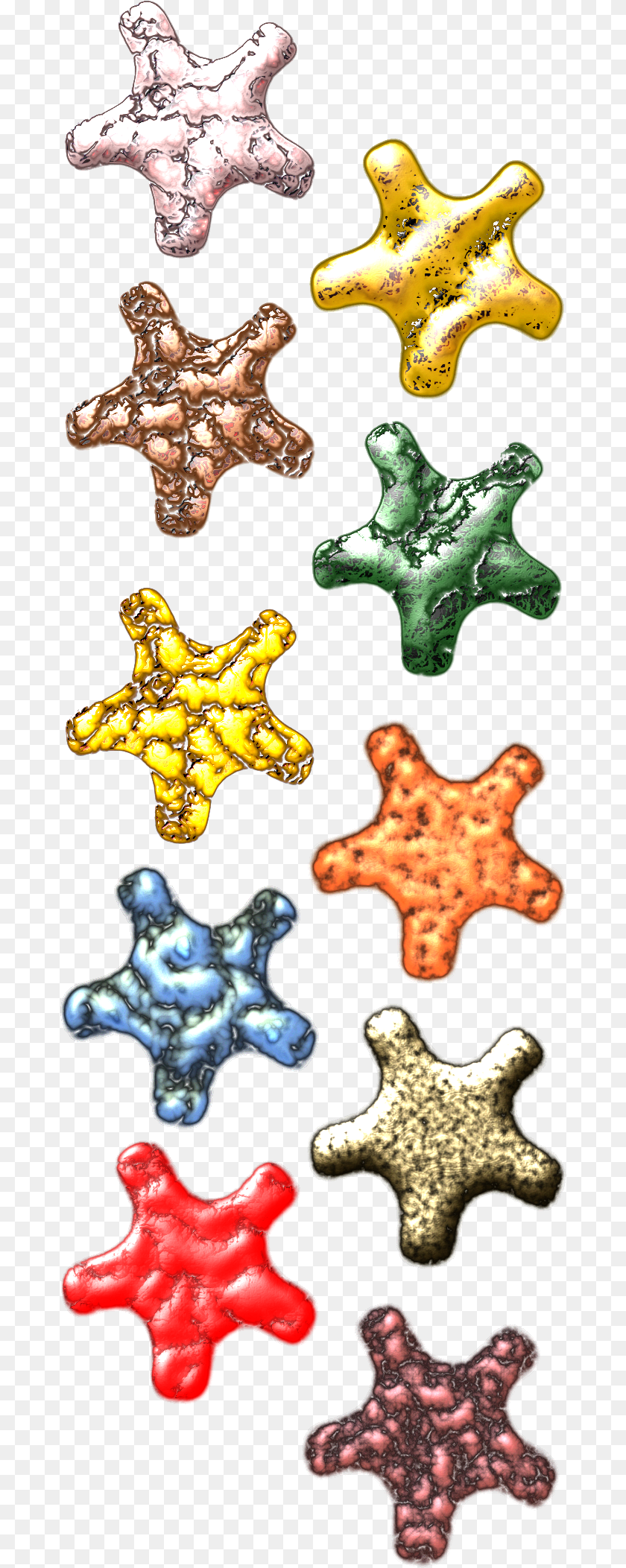Starfish, Food, Sweets, Cookie PNG