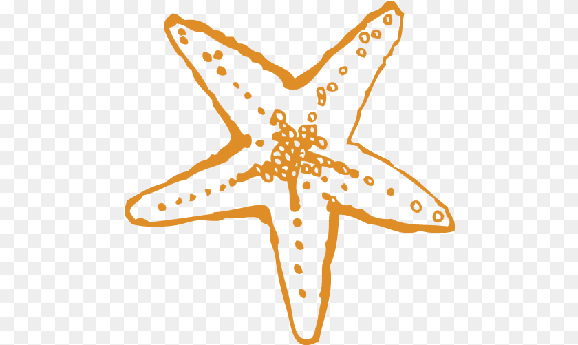 Starfish, Animal, Sea Life, Invertebrate Sticker PNG