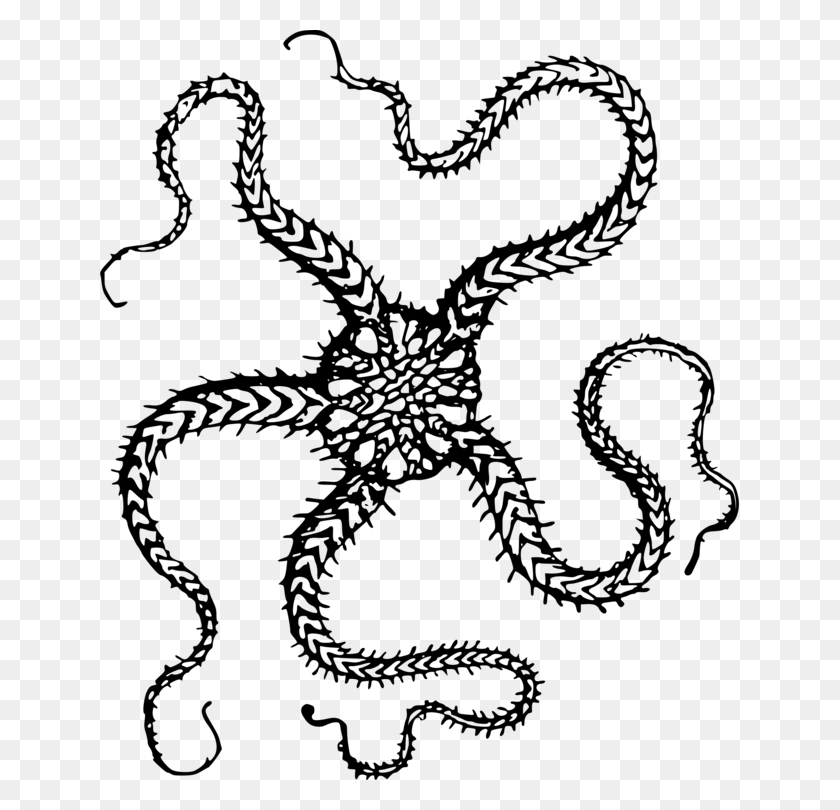 639x750 Descargar Png Starfish Brittle Stars Equinodermo Camiseta Brittle Star Clip Art, Grey, World Of Warcraft Hd Png