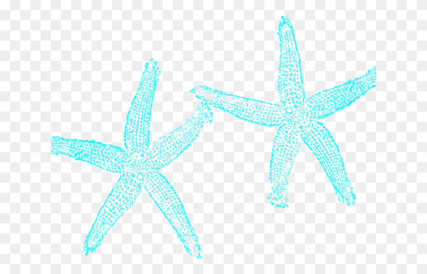 640x480 Starfish Clipart Aqua Fish Clip Art, Cruz, Símbolo, Invertebrado Hd Png