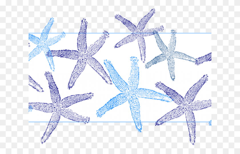 640x480 Starfish Clipart Blue Starfish Fish Clip Art, Invertebrate, Sea Life, Animal HD PNG Download