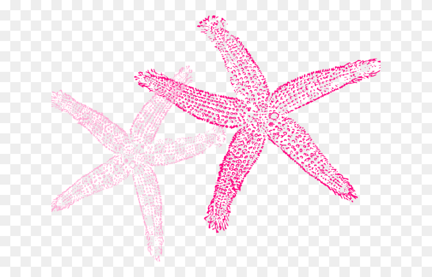 640x480 Starfish Clipart Summer Fish Clip Art, Símbolo, Símbolo De La Estrella, Animal Hd Png