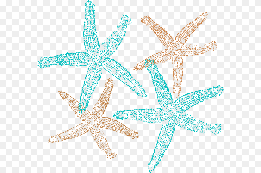 600x559 Starfish Prints Svg Clip Arts Shell Starfish Clip Art, Animal, Invertebrate, Sea Life, Kangaroo Sticker PNG