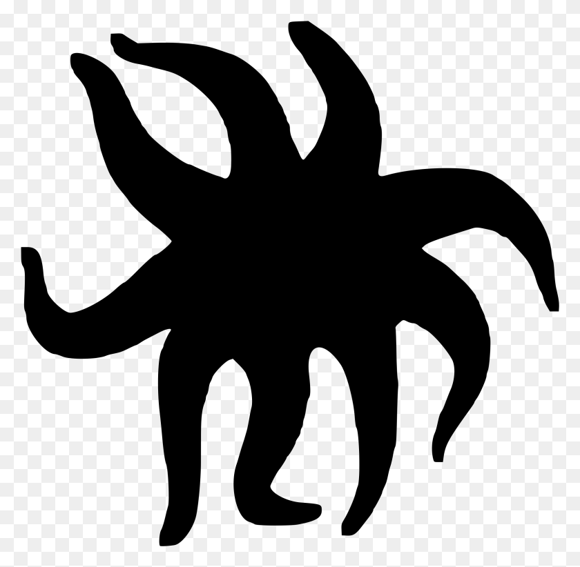 2375x2322 Starfish Sunflower Sea Star Computer Icons Drawing Sunflower Sea Star Drawing, Gray, World Of Warcraft HD PNG Download