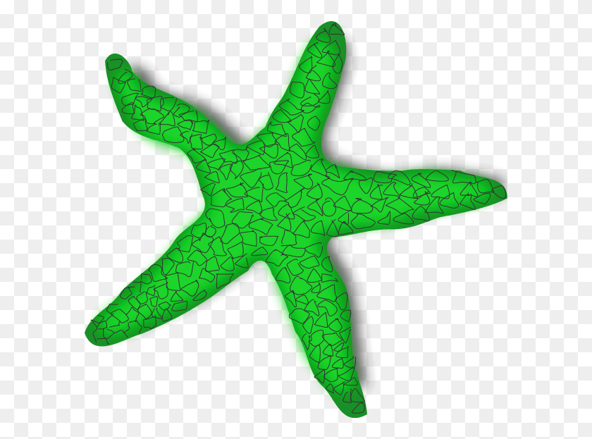 600x563 Starfish Transparent Images Transparent Star Fish Cliparts, Sea Life, Animal, Invertebrate HD PNG Download